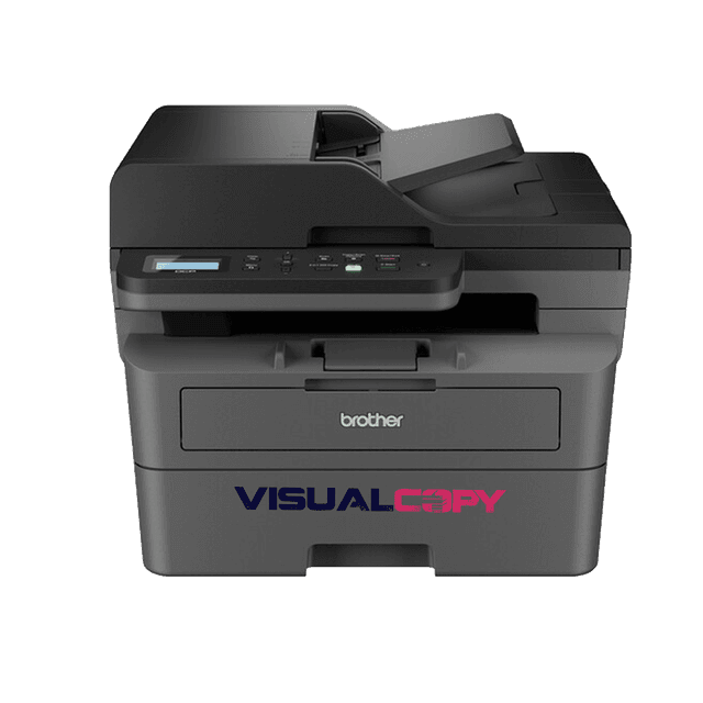 Vista 2