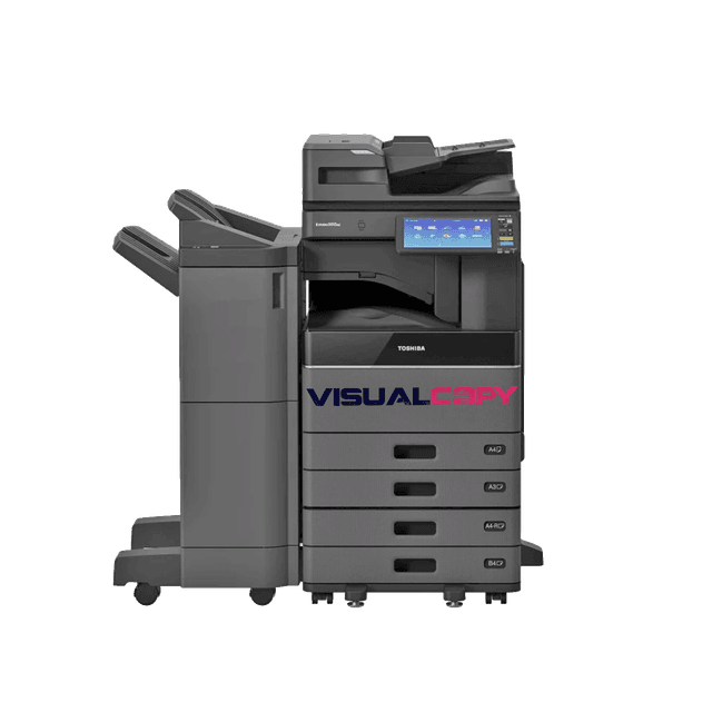 Vista 1