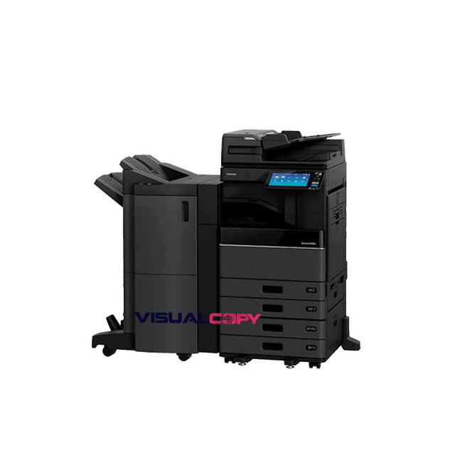 Vista 1